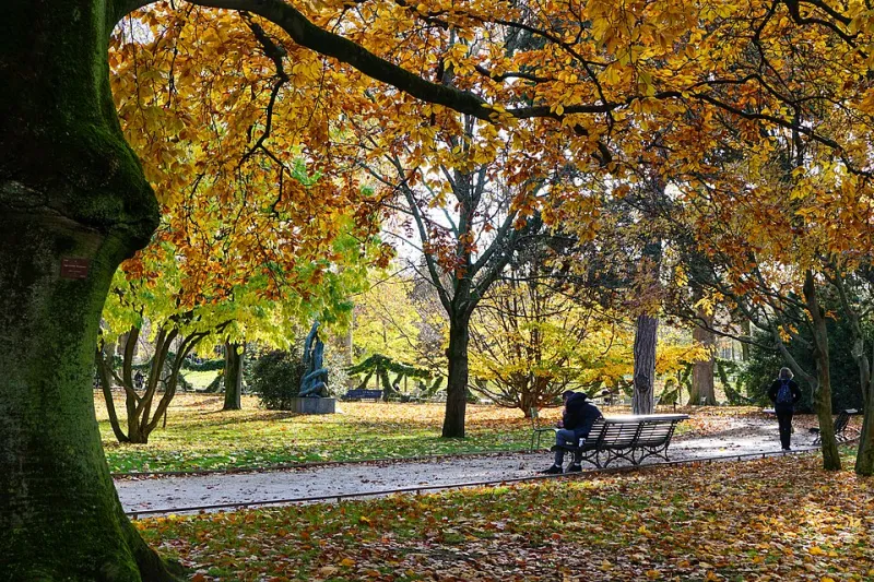 Do Nothing, Win Everything: The Quiet Games Helping People Actually Decompress